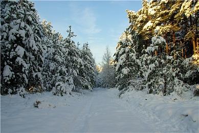 维护5个月后 WiiU版《马里奥赛车8》和《斯普拉遁》服务器终于重新上线